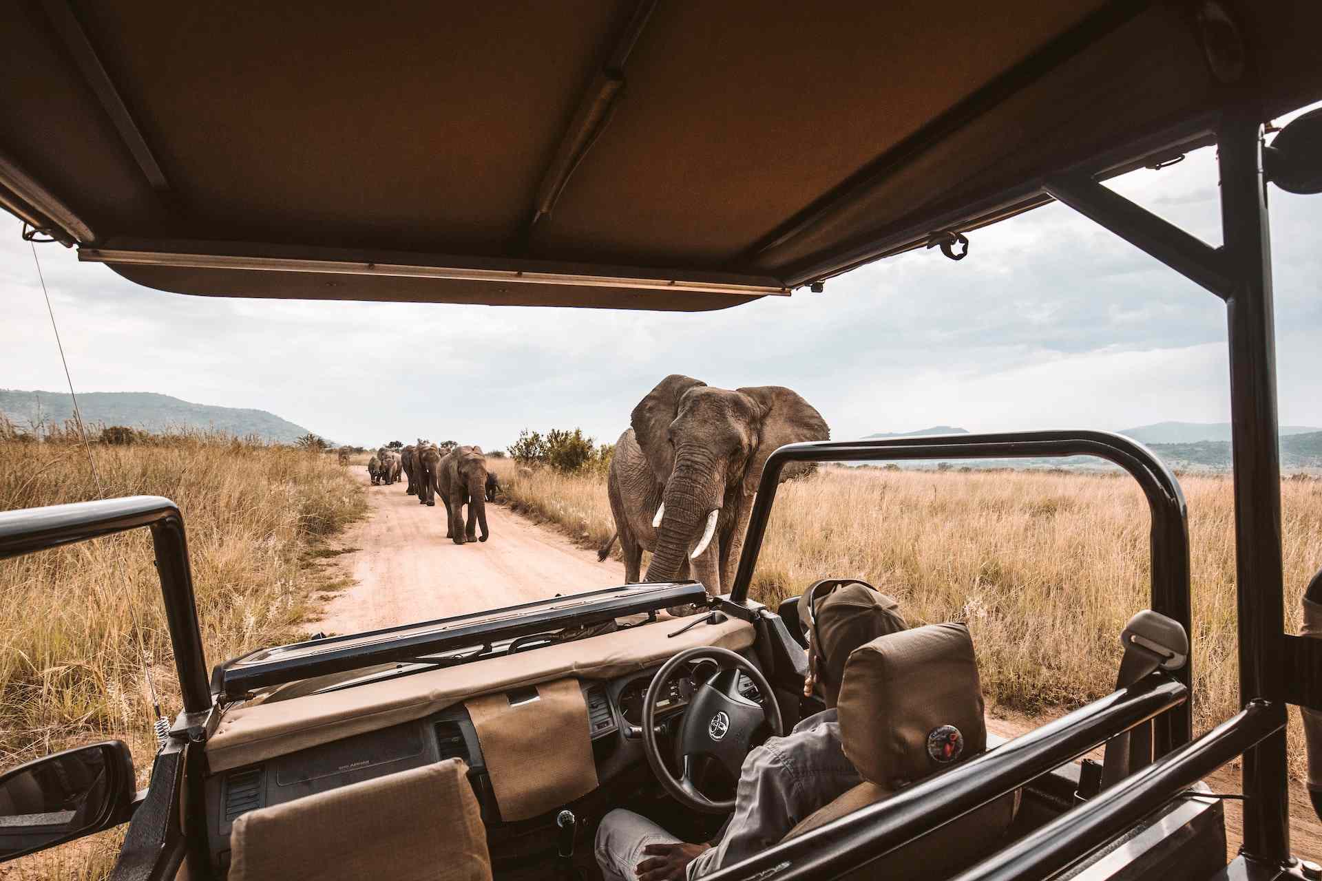 Kenya Landscape