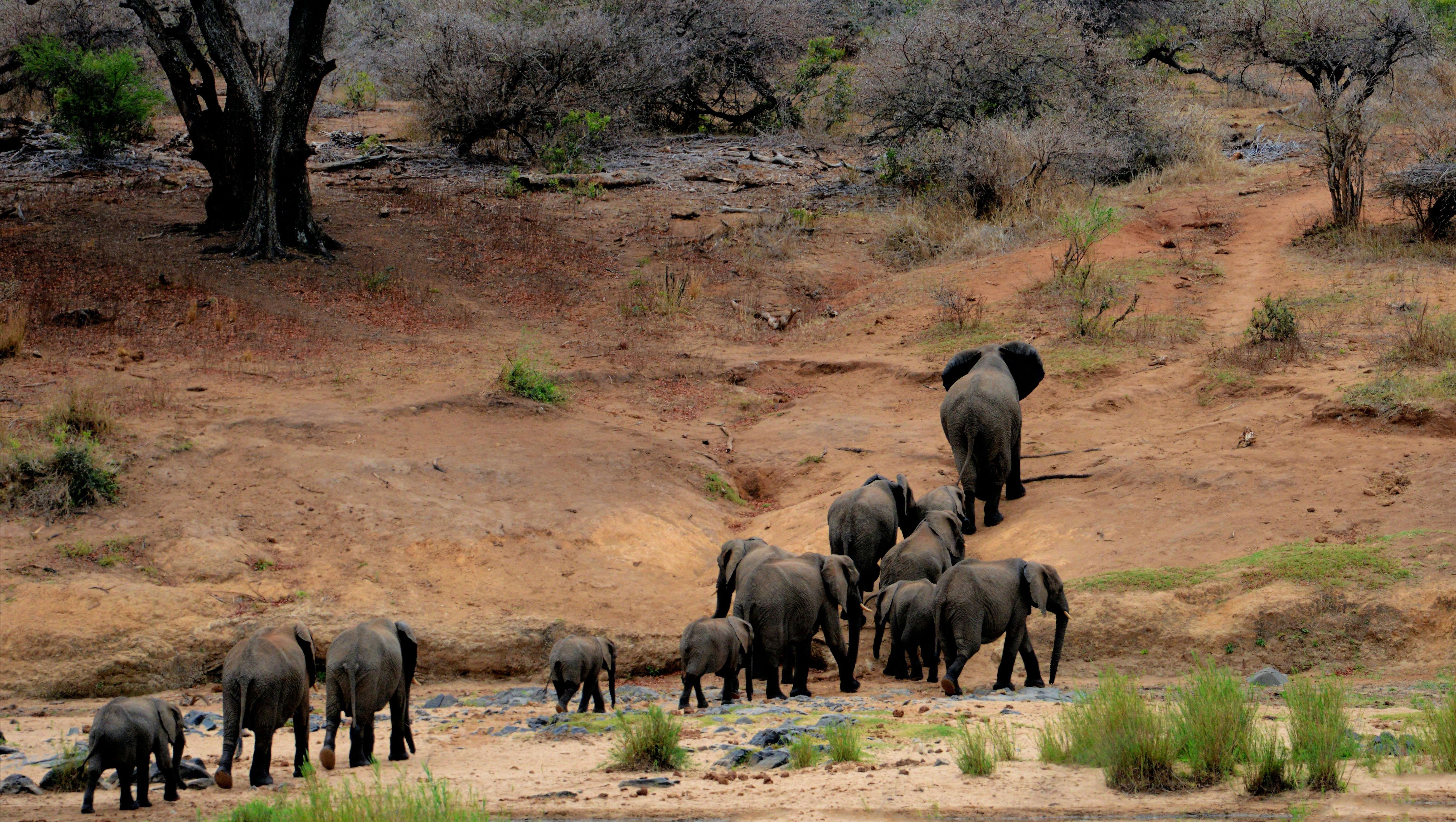 Kenya Culture