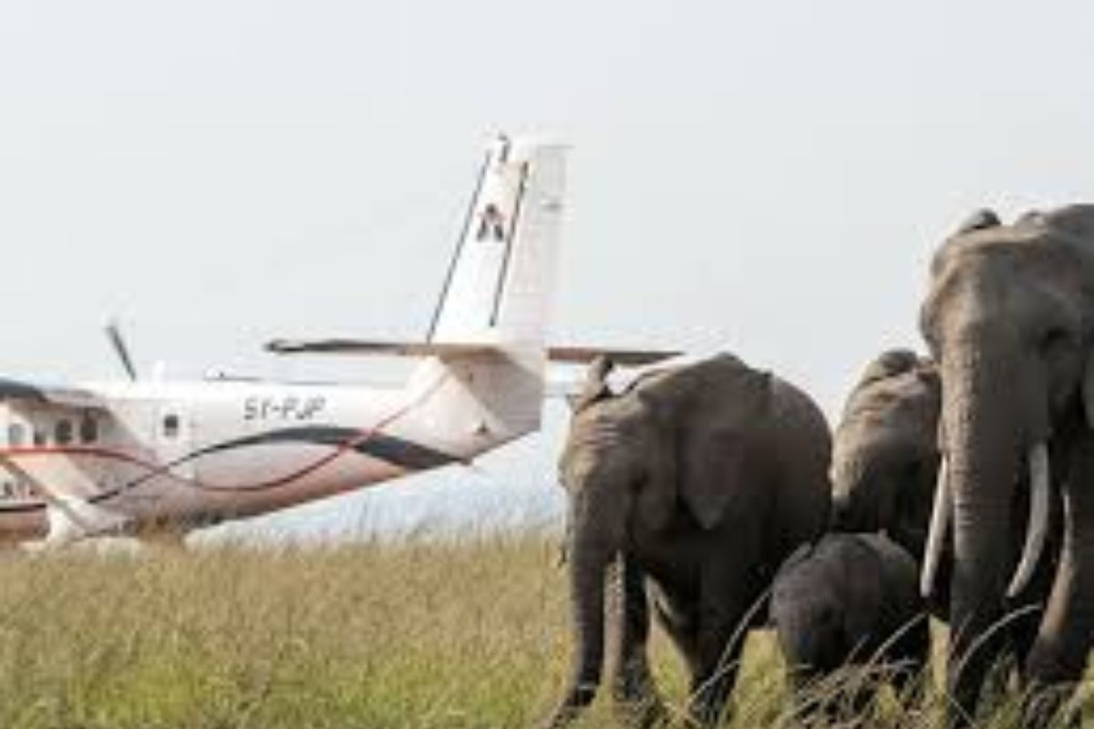 EXCLUSIVE FLIGHT SAFARI OF A 3 DAY LAIKIPA WILDERNESS RETREAT