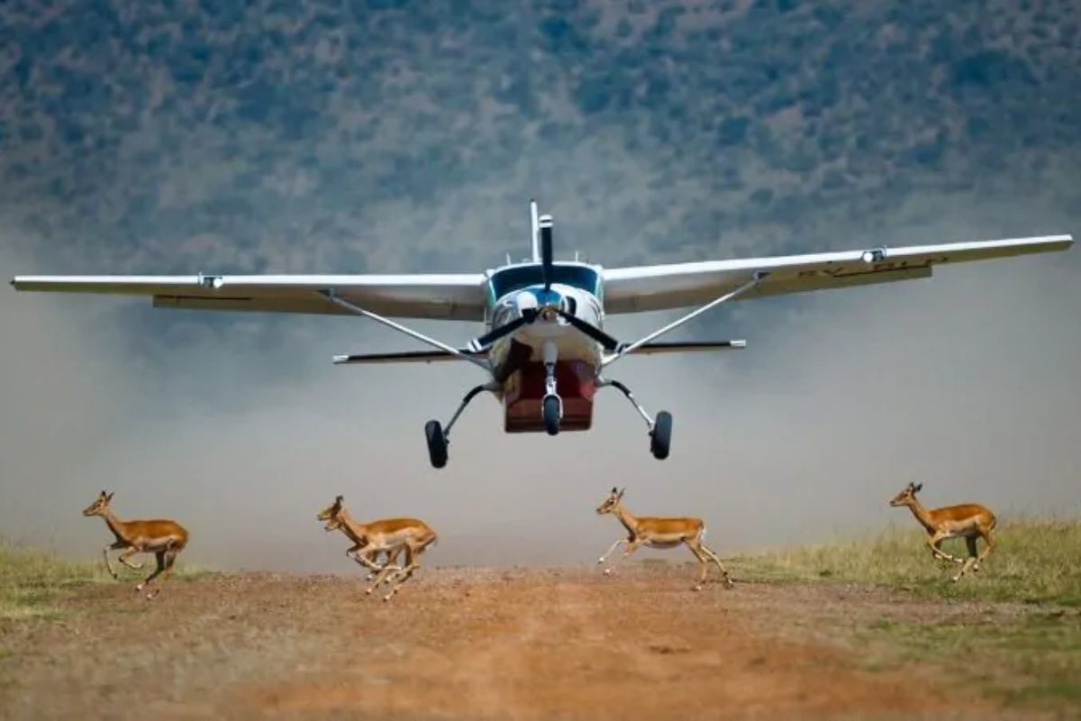 AN EXCLUSIVE AIR ADVENTURE OF 3 DAYS LEWA WILDERNESS SAFARI