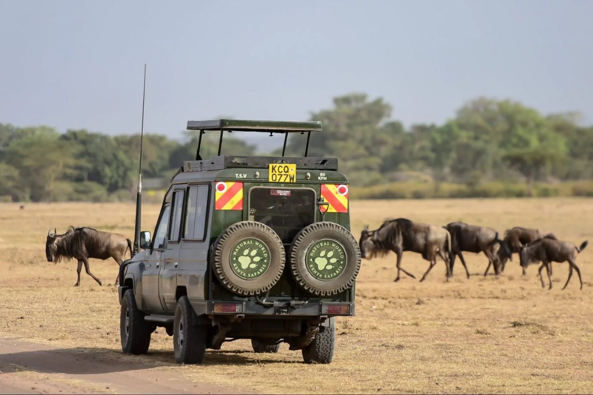 14 DAYS 13 NIGHTS COMBINED BUSH AND BEACH SAFARI 