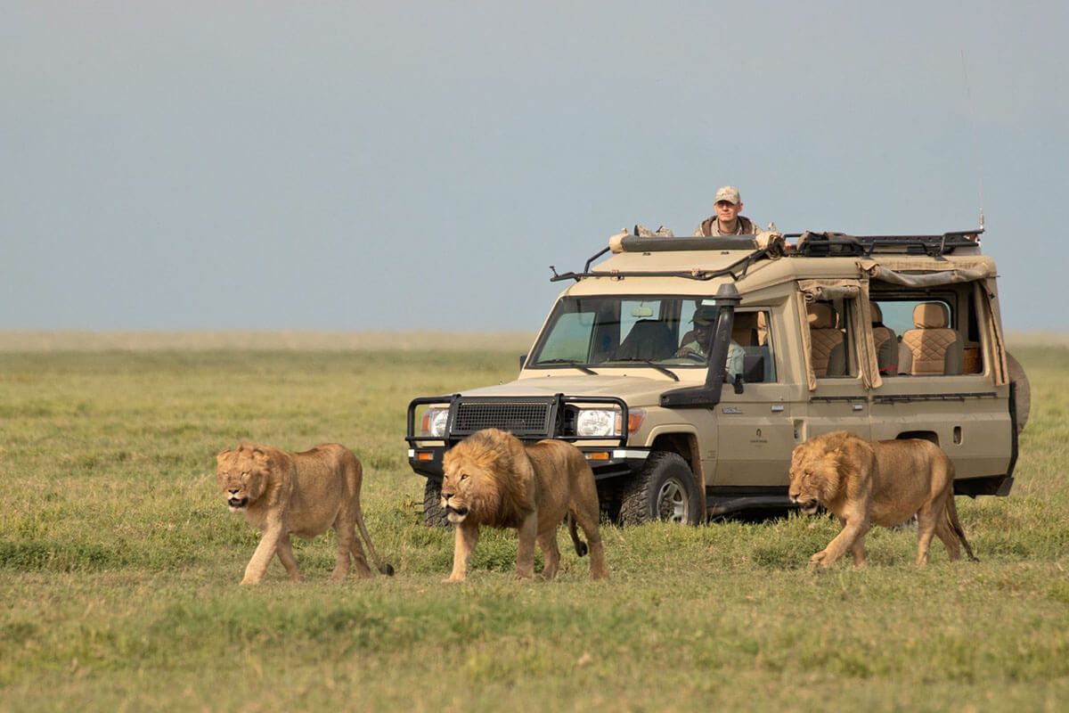 3 DAYS 2 NIGHTS MAASAI MARA EXPERIENCE